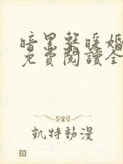 暗黑系暖婚全文免费阅读全文