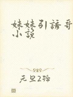 妹妹引诱哥哥h小说