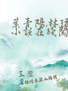 叶青阳,林珺瑶小说在线阅读