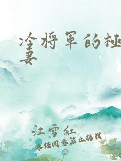 冷将军的极品娇妻