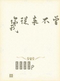 你从来不曾爱过我