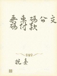 乘车码公交二维码付款