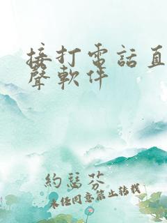 接打电话直接变声软件