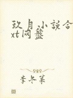 玖月小说合集txt网盘