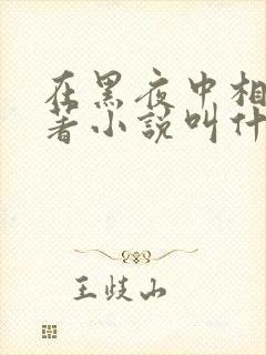 在黑夜中相拥原著小说叫什么