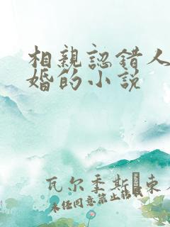 相亲认错人后闪婚的小说