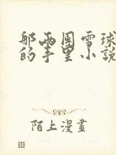 那两团雪球在他的手里小说