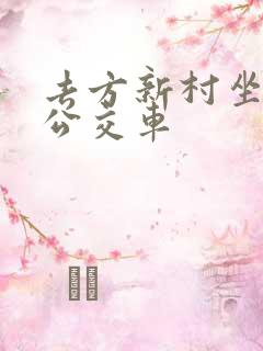 去方新村坐几路公交车