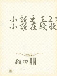 小说之王2有声小说在线收听