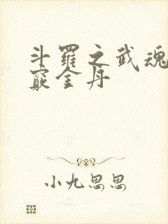 斗罗之武魂为九窍金丹