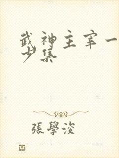 武神主宰一共多少集