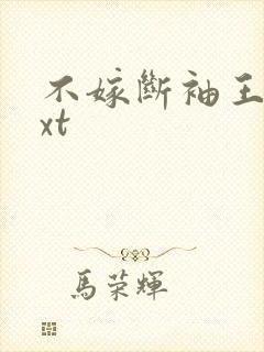 不嫁断袖王爷txt