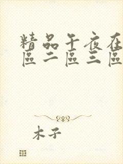 精品午夜在线一区二区三区