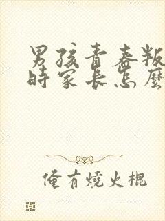 男孩青春叛逆期时家长怎么办