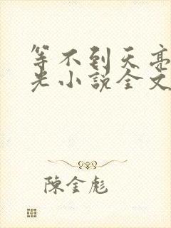 等不到天亮等时光小说全文免费阅读