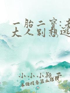一胎二宝:老婆大人别想逃