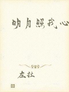 明月照我心小说
