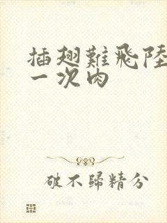 插翅难飞陆进第一次肉