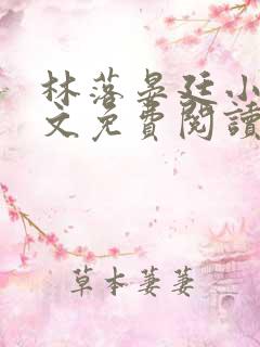 林落晏廷小说全文免费阅读
