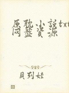 原耽小说txt网盘资源