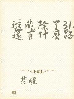 进藏除了318还有什么路线