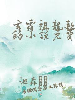 玄霜祖龙敖无极的小说免费阅读