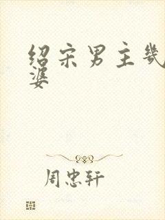 绍宋男主几个老婆