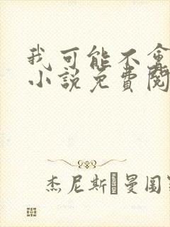 我可能不会爱你小说免费阅读