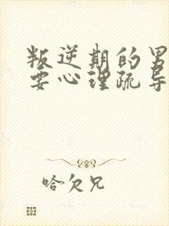 叛逆期的男孩需要心理疏导吗