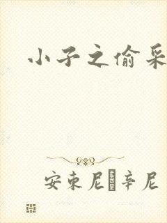 小子之偷采双圣