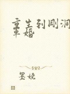 重生到刚洞房的军婚