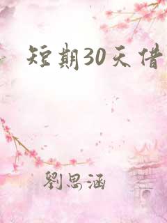 短期30天借款