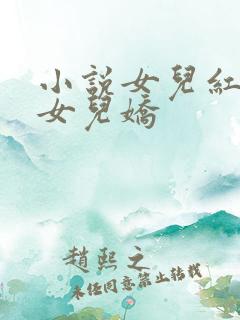 小说女儿红+续女儿娇