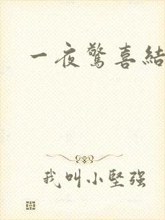一夜惊喜结局