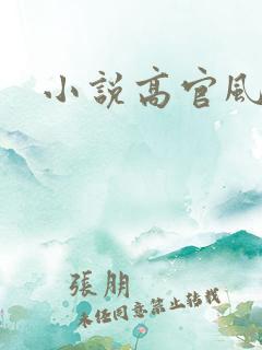 小说高官风流