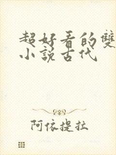 超好看的双男主小说古代