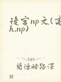 后宫np文(高h,np)