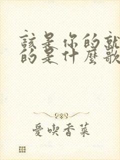 该是你的就是你的是什么歌