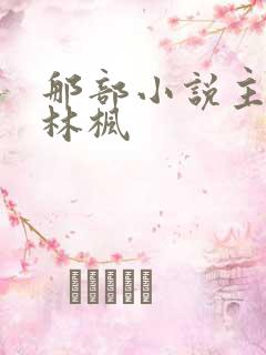 那部小说主角叫林枫