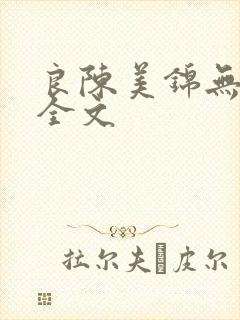良陈美锦无删减全文