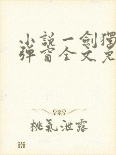 小说一剑独尊无弹窗全文免费阅读