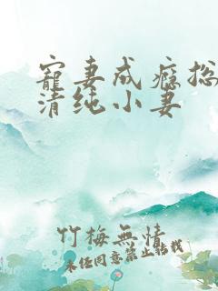 宠妻成瘾总裁的清纯小妻