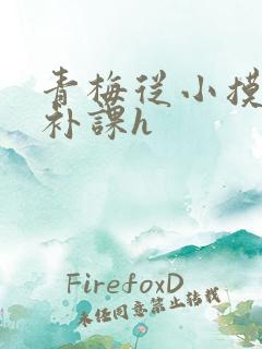 青梅从小摸到大补课h