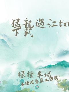 猛龙过江txt下载