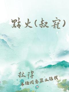点火(叔宠)