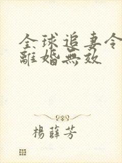 全球追妻令老婆离婚无效