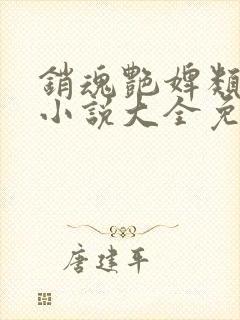 销魂艳婢类似的小说大全免费阅读