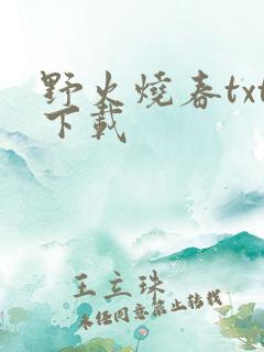 野火烧春txt下载