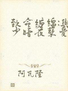 致命缠绵:与冷少暗夜孽爱