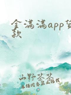 金满满app贷款